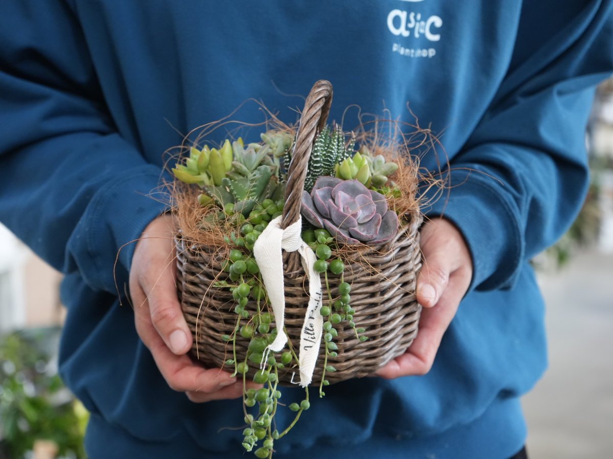 fit=scale-down,w=1200