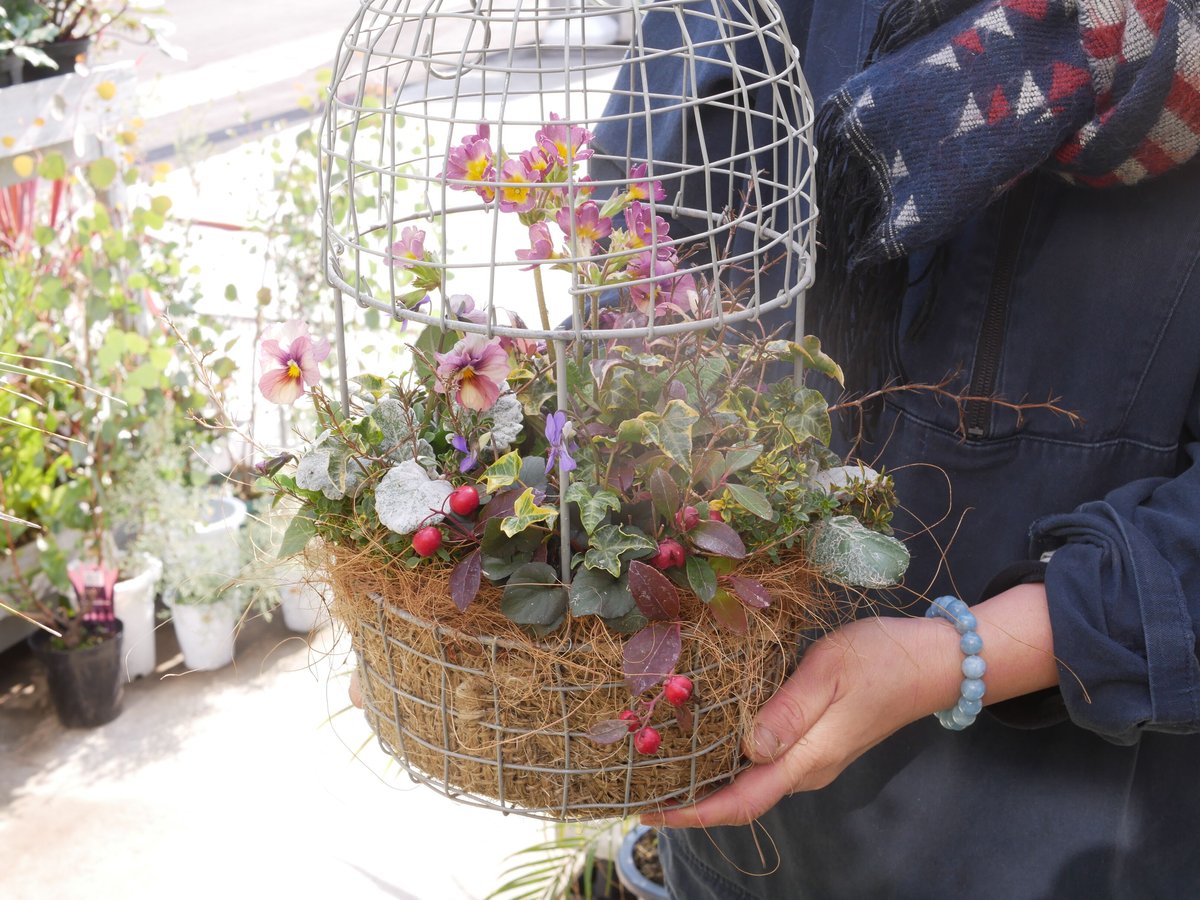 おまかせコース 8800円】 季節の草花の寄せ植え とり籠バスケット L
