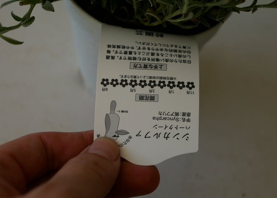 634f5f91f519733cef738993