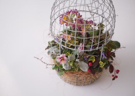 おまかせ　とり籠バスケットL　季節の草花　プランツギャザリング