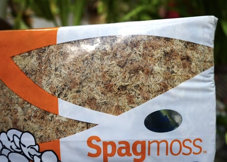 水苔　Spag moss AAAランク　80L