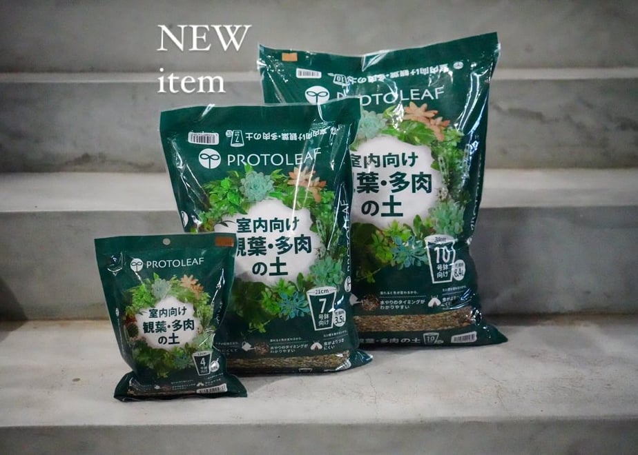 66ea3821a0c07f0623ce09fb