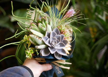 おまかせそのまま飾れるサキュレントルーティブーケ　多肉ブーケ　ラッピング込み　Succulent Rooty Bouquet　多肉植物　ブーケ　ギフト　プレゼント
