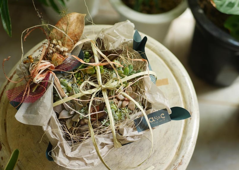 まこ〜 多肉植物リース imgrc0104522659.jpg