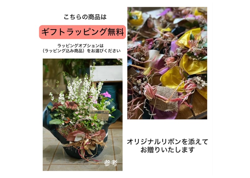 ラッピング込み〗多肉植物リース リースM 丸型 ラッピング 永遠