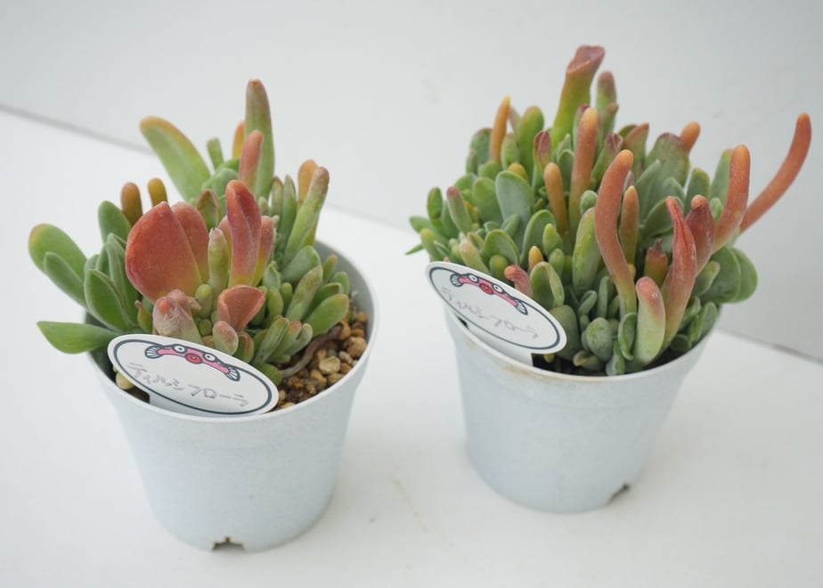 6a31f51b9d5f2b0001cbebc3