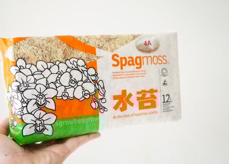 水苔　Spag moss AAAAランク　12L