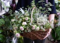 【おまかせコース 10000円】 季節の花苗 花かご　寄せ植え   両手いっぱいの寄せ植え　ギフト お祝い 新築祝い 開店祝い