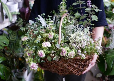 【おまかせコース 10000円】 季節の花苗 花かご　寄せ植え   両手いっぱいの寄せ植え　ギフト お祝い 新築祝い 開店祝い