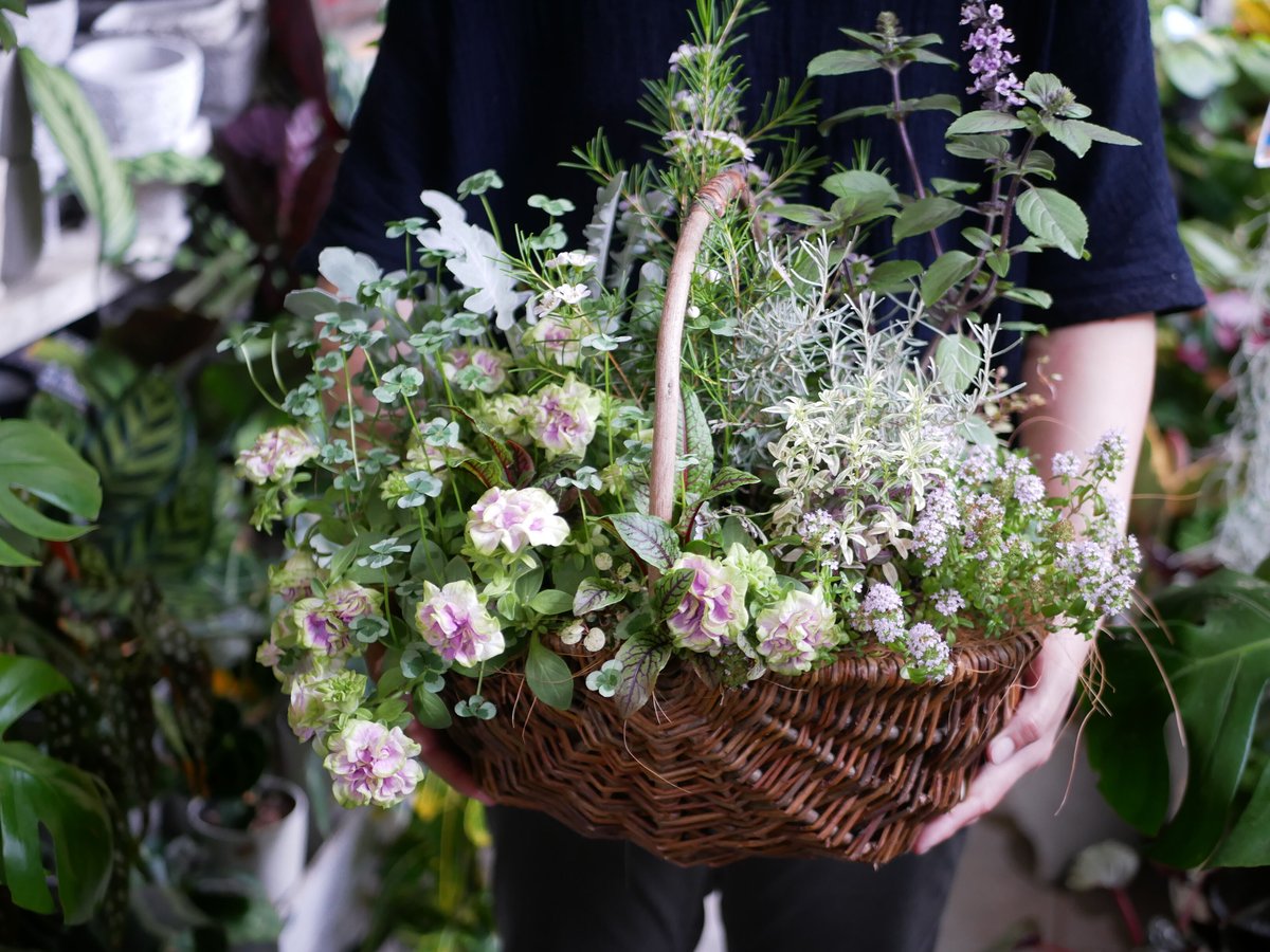 おまかせ】 季節の花苗籠よせ 10000円 両手いっぱいの寄せ植えを gift