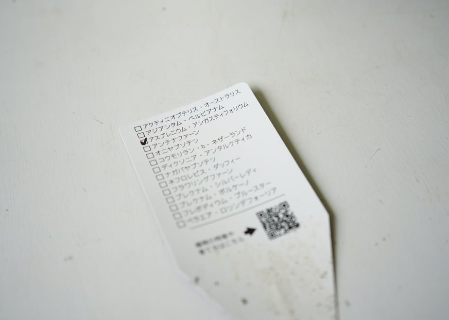 6476b0a97c077d002edb83f4