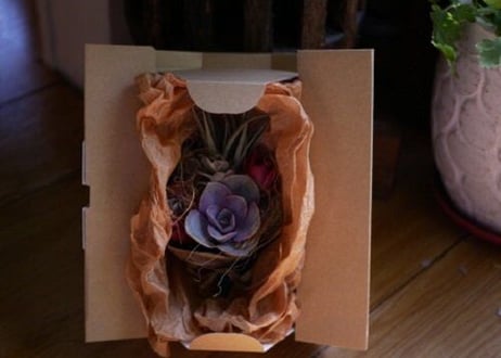 おまかせ☆そのまま飾れるサキュレントルーティブーケ　多肉ブーケ　Succulent Rooty Bouquet　多肉植物　ブーケ　ギフト　プレゼント