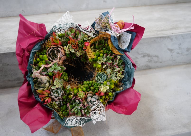 多肉植物　寄せ植え　リース　ww 多肉植物寄せ植えリースww
