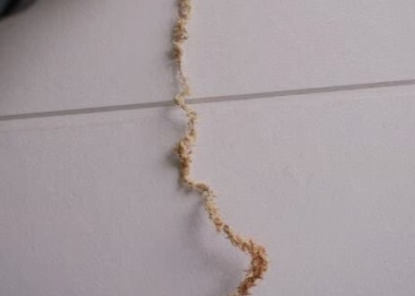 水苔　Spag moss AAAAランク　240L
