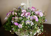 【おまかせコース 5000円】　季節の花を使ったかご寄せ植え　お祝いギフトにも最適