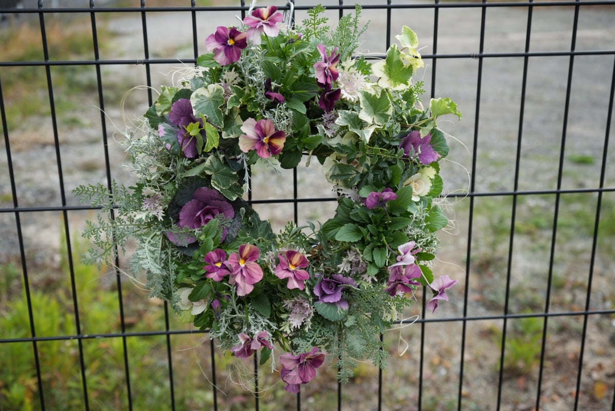 ふんわり可愛い葉牡丹リース 30センチリース 寄せ植え 玄関飾り お祝い