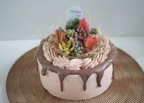 ホールケーキ(チョコ)寄せ植え 多肉植物　【多肉植物 寄せ植え スイーツ鉢】チョコホールケーキ型アレンジ｜大人可愛いインテリア｜誕生日・母の日2026 ギフトに