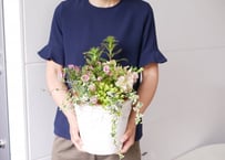 おまかせ　季節の草花の鉢植え　プランツギャザリング