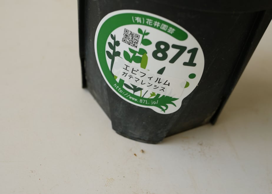 62ea07515d05ec509ee77cbe
