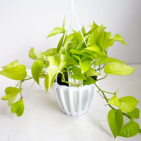 テルノシリーズ | STORES