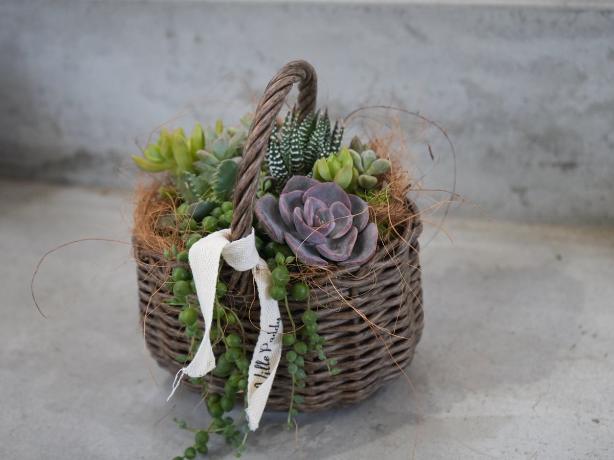 fit=scale-down,w=1200