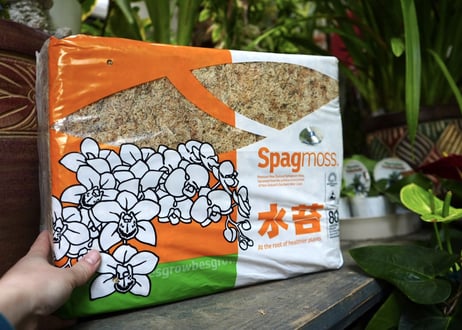 水苔　Spag moss AAAランク　80L