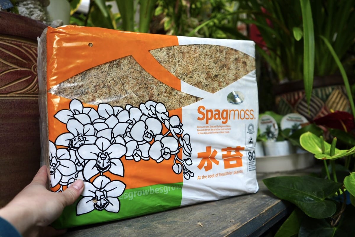 水苔　AAA 3kg Amazon.co.jp: 特選水苔3kg ニュージー産 AAA : DIY・工具・ガーデン