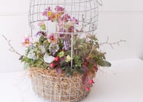 おまかせ　とり籠バスケットL　季節の草花　プランツギャザリング