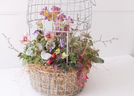 おまかせ　とり籠バスケットL　季節の草花　プランツギャザリング