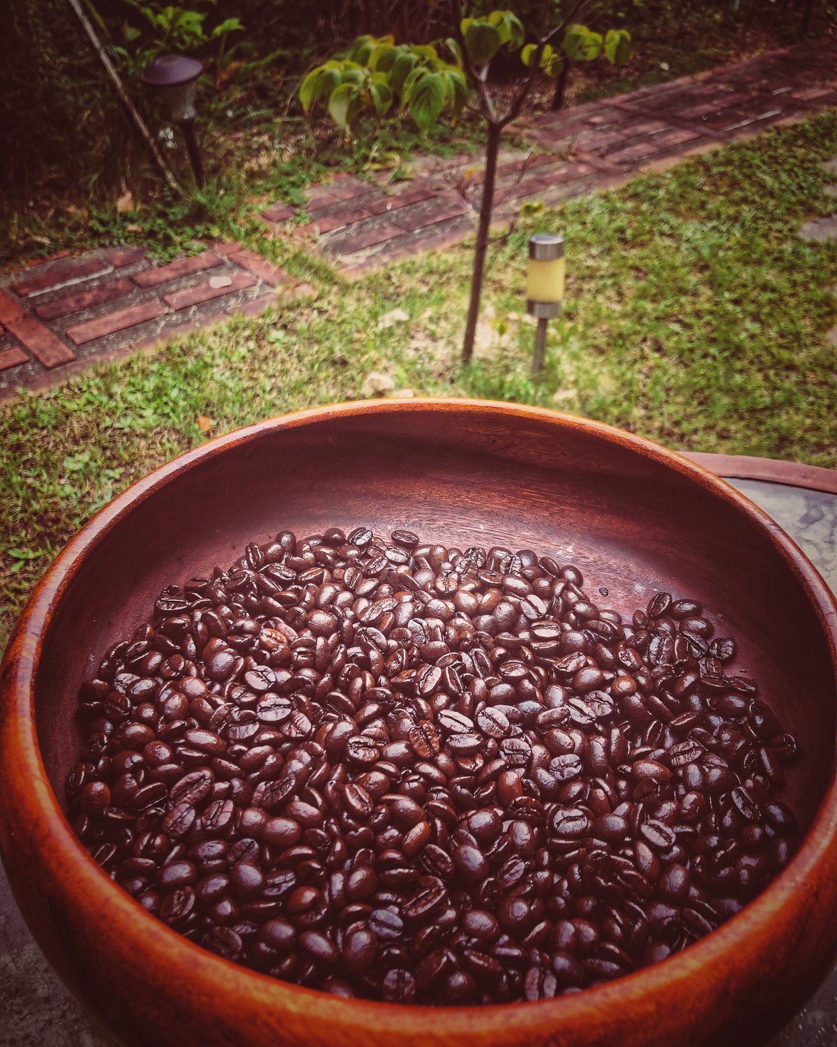 タンザニア AAトップ イエンガ 100g | 北風珈琲