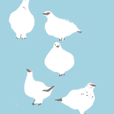 itomici　山と刺繍	ふわふわ雷鳥ポストカード