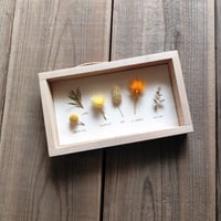 milwaukie dried flower /古材風パネル　14×24