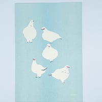 itomici　山と刺繍	ふわふわ雷鳥ポストカード
