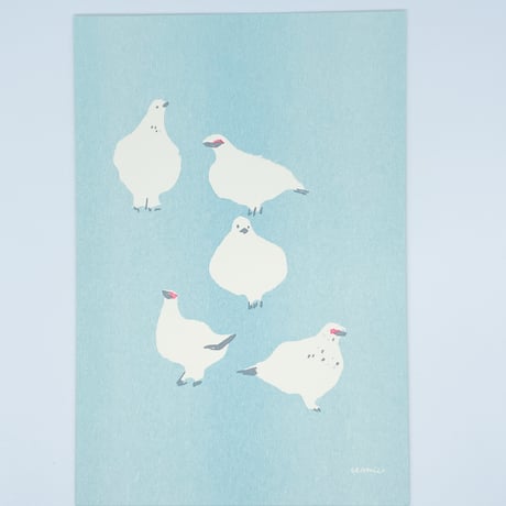 itomici　山と刺繍	ふわふわ雷鳥ポストカード