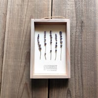 milwaukie dried flower /古材風パネル　22×14.5