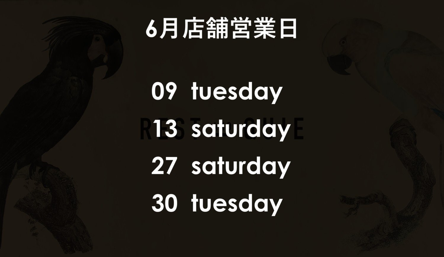 O P E N   D A Y