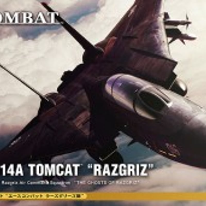 【新品未使用】エースコンバット　F-14Aトムキャット　ラーズグリーズ隊 新品未使用】エースコンバット F-14Aトムキャット
