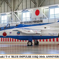 1/48川崎 T-4 “ブルーインパルス 第11飛行隊 30周年記念”