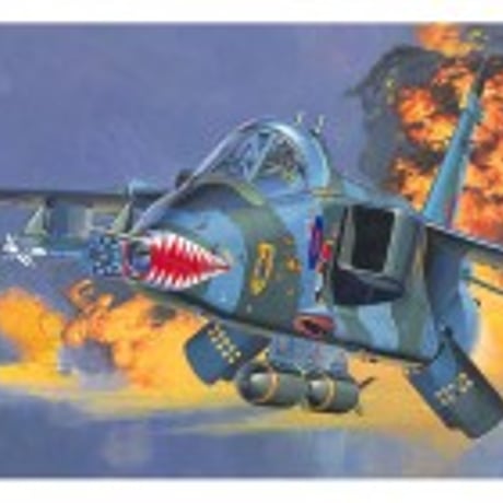 CATEGORY 1/72飛行機 | 民家型模型店ぷらも屋さんネットショップ