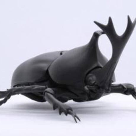 いきもの編 カブトムシ 「自由研究シリーズ No.21」