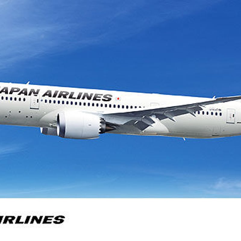 1/200日本航空 ボーイング 787-8 | 民家型模型店ぷらも屋さんネット