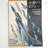 飛行機モデル総ざらい　アメリカ空軍現用戦闘機攻撃機編