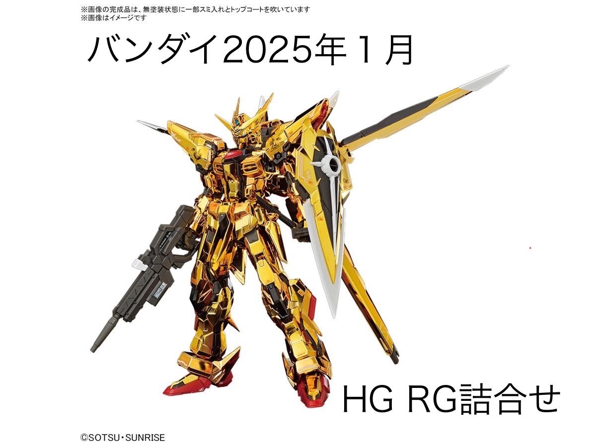 HG RG SEED 4点セット HG RG SEED 4点セット HG RG SEED 4点セット HG RG SEED 4点セット