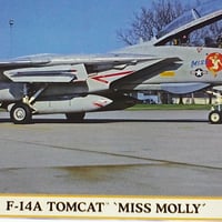 1/72 F-14A トムキャット “ミス モーリー”