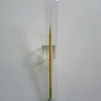 白桂自在　小