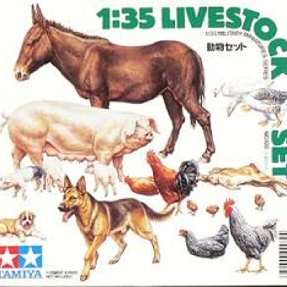 60e51248cfcd942d39a1d89a