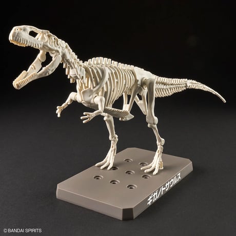 プラノサウルス ギガノトサウルス