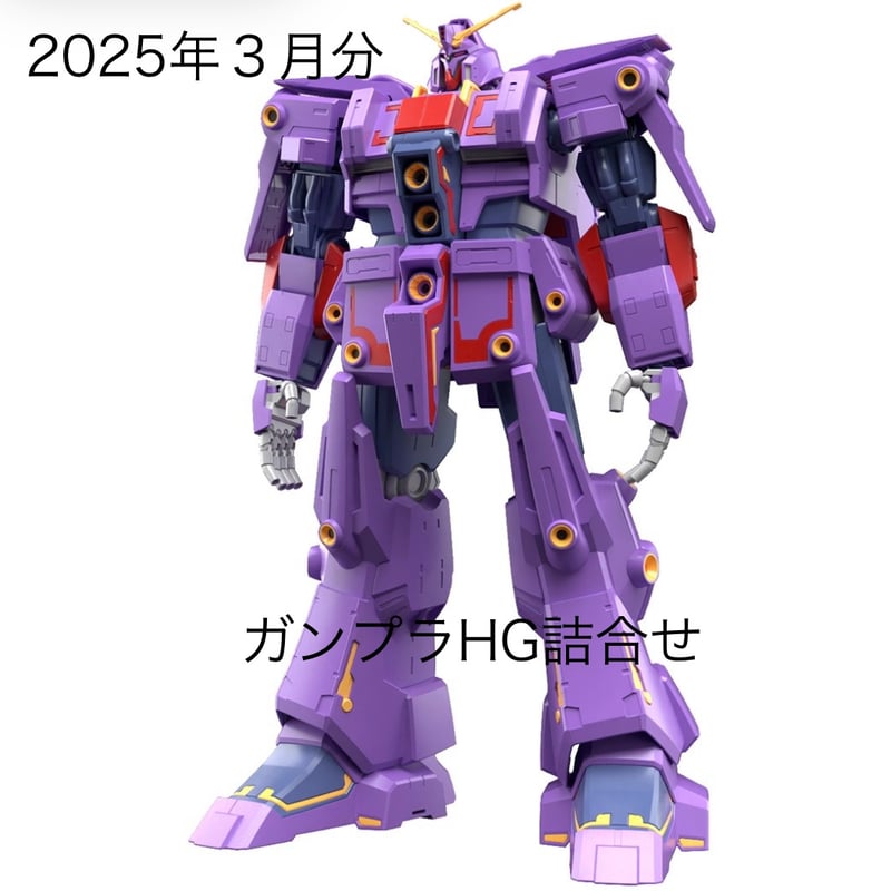 ガンプラ ジャンク詰め合わせ 約2.5kg 2025/03 HGガンプラ詰め合わせ