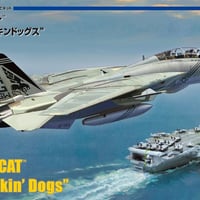 アメリカ海軍 F-14B トムキャット VF-143 `ピューキンドッグス`