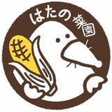 Hatano saien